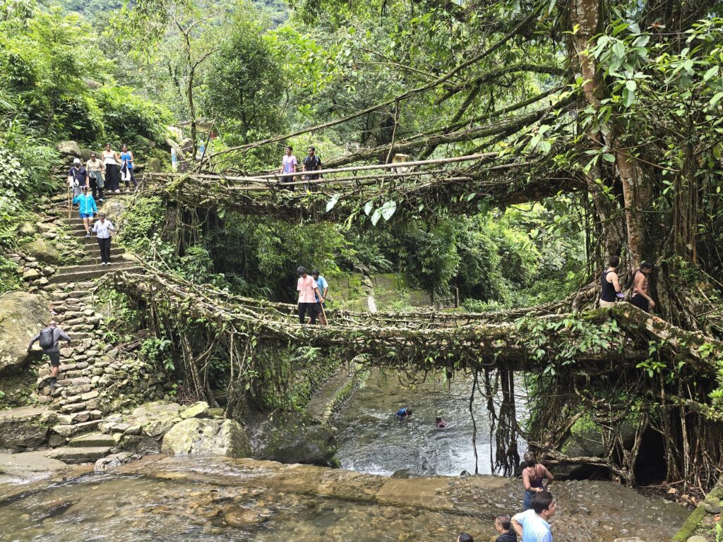 best car rental near me